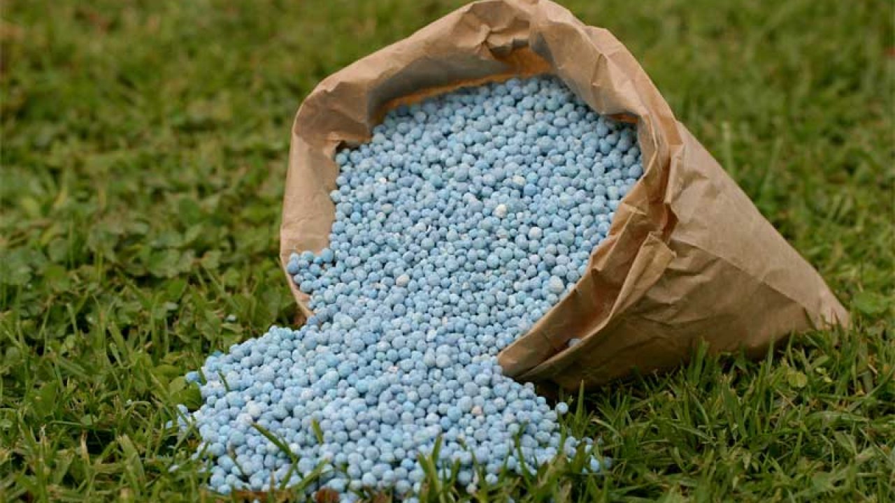 Registro de Fertilizantes 1 REGISTRO DE FERTILIZANTES