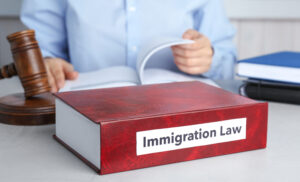 book with words immigration law gavel and blurred 2026 03 05 11 39 04 utc